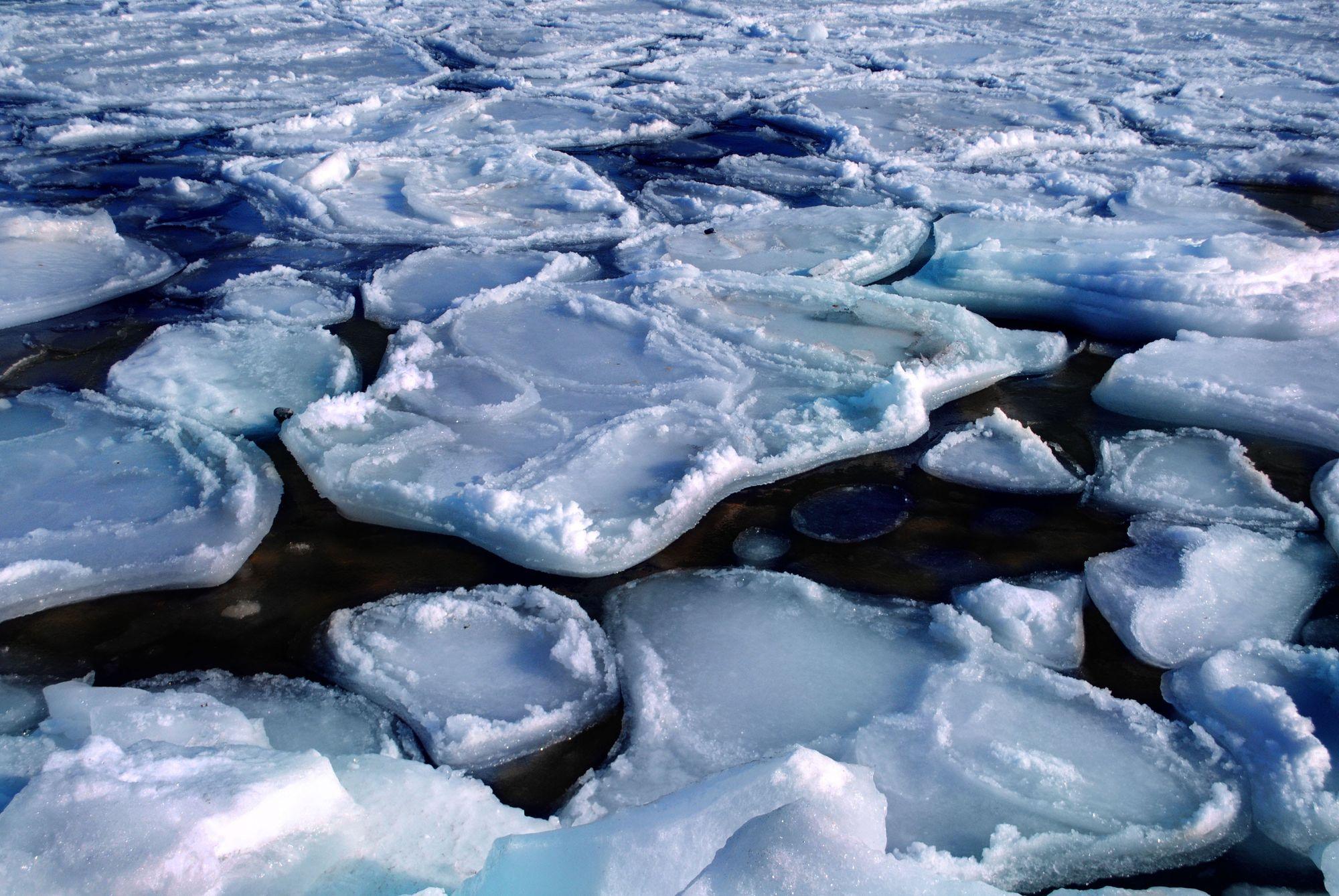 Floes of sea ice drifting on dark Arctic water